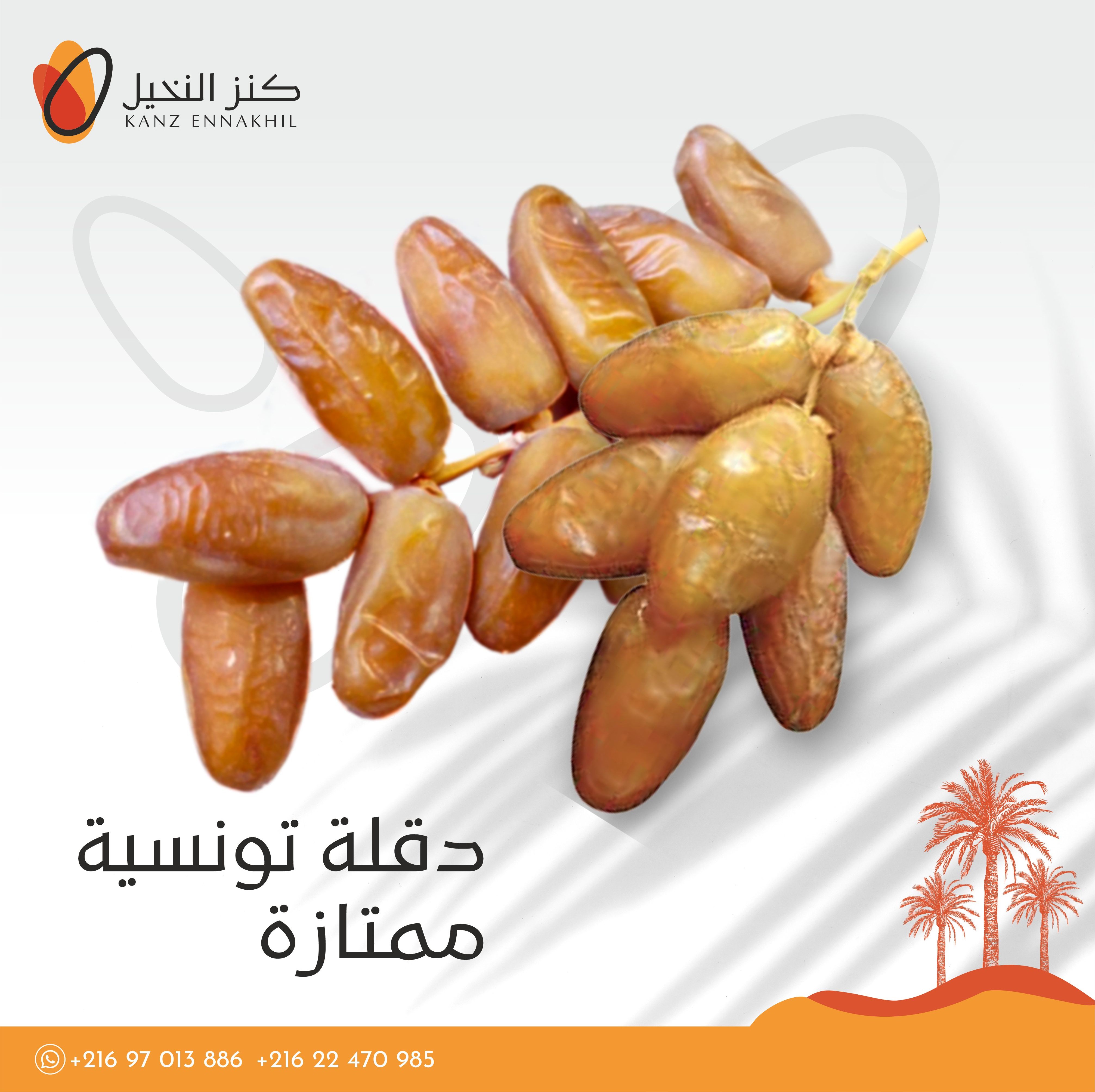 Premium Deglet Nour